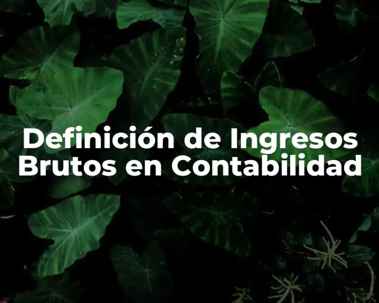 Definición de Ingresos Brutos en Contabilidad