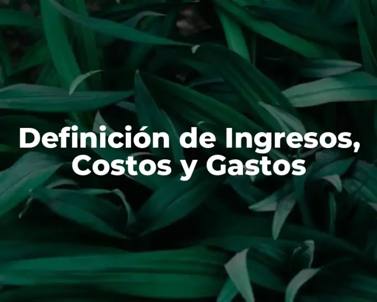Definición de Ingresos, Costos y Gastos