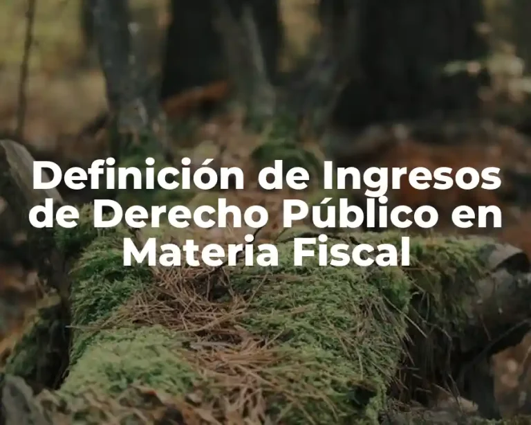 Definición de Ingresos de Derecho Público en Materia Fiscal