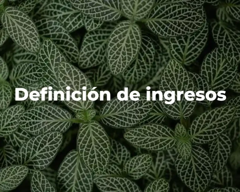Definición de ingresos