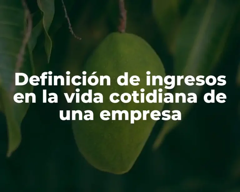 Definición de ingresos en la vida cotidiana de una empresa