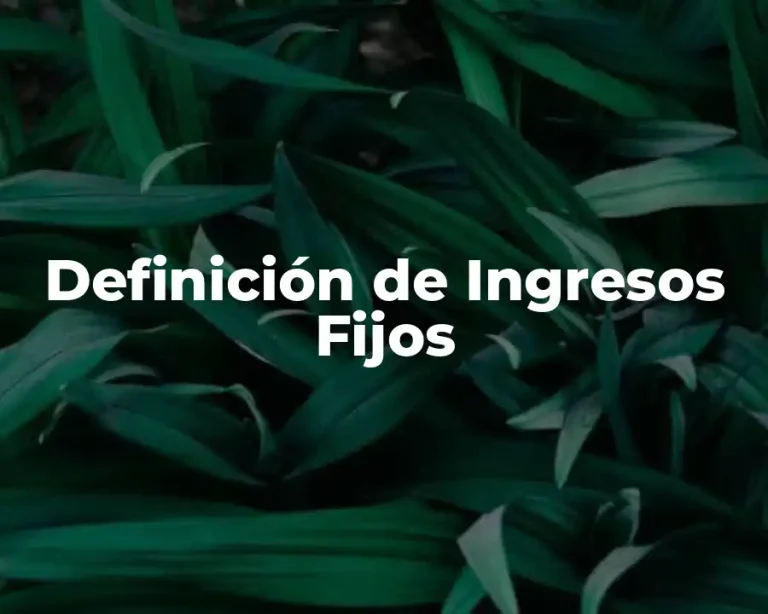 Definición de Ingresos Fijos