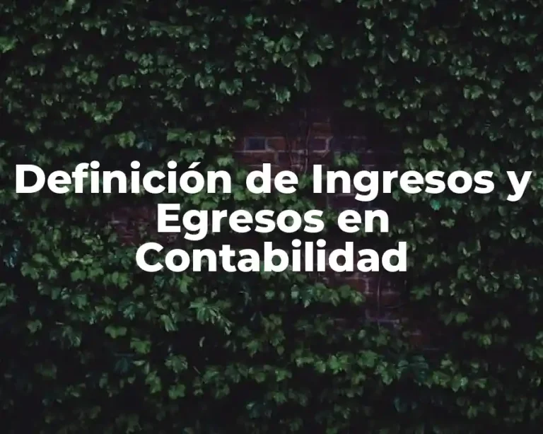 Definición de Ingresos y Egresos en Contabilidad