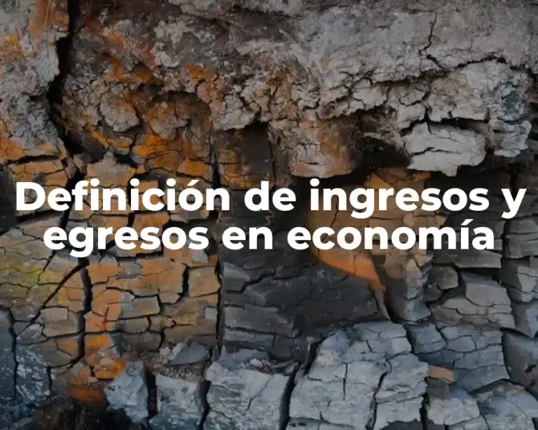 Definición de ingresos y egresos en economía