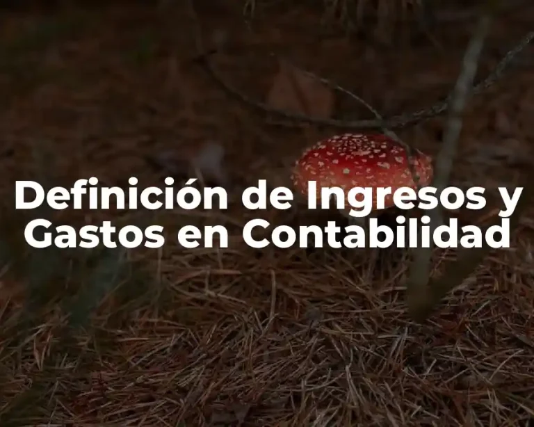 Definición de Ingresos y Gastos en Contabilidad