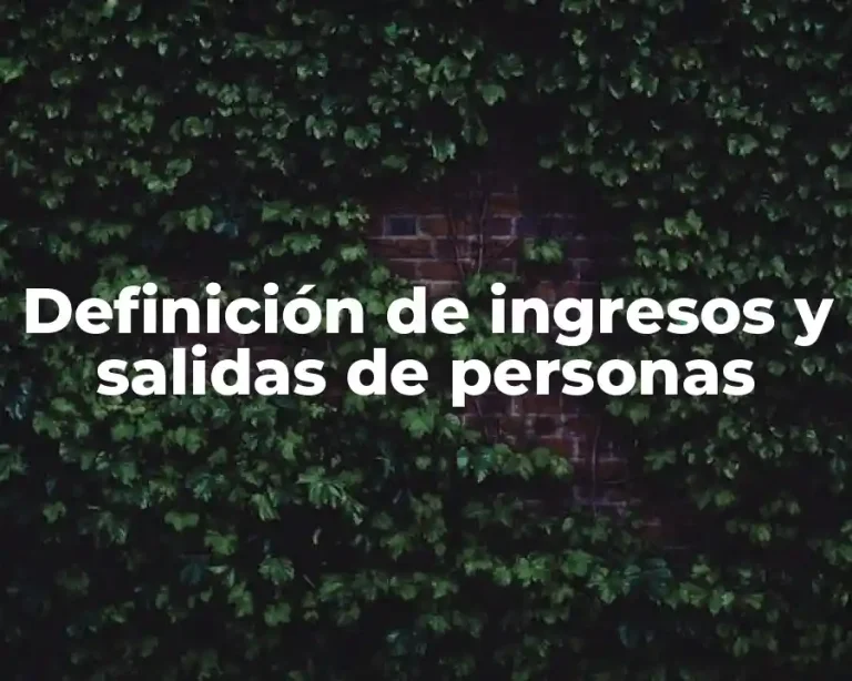 Definición de ingresos y salidas de personas