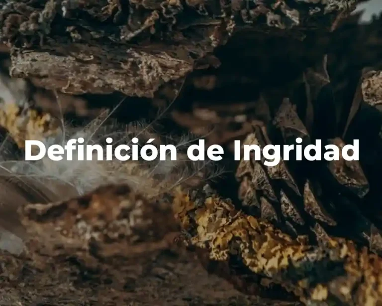 Definición de Ingridad