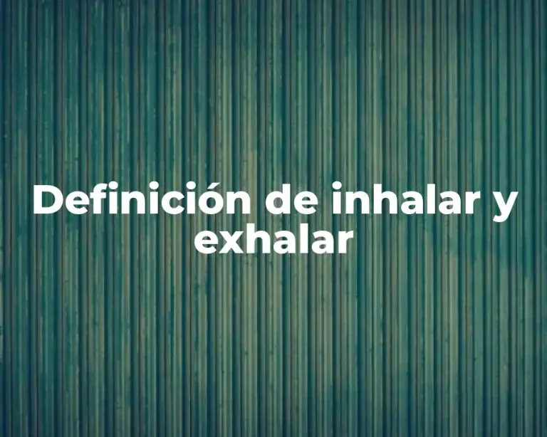 Definición de inhalar y exhalar