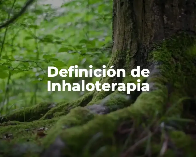 Definición de Inhaloterapia