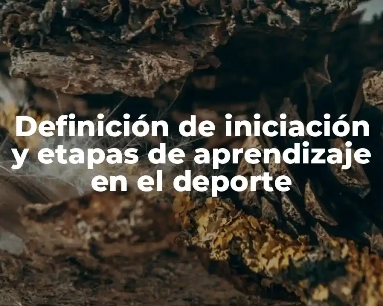 Definición de iniciación y etapas de aprendizaje en el deporte
