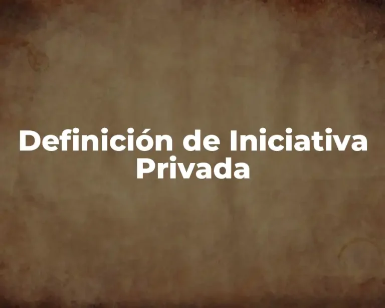 Definición de Iniciativa Privada