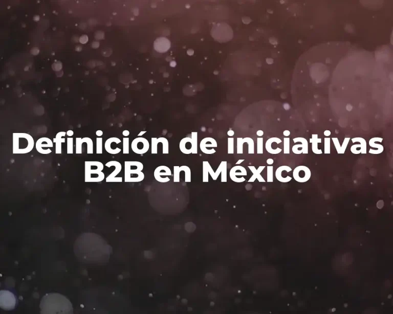 Definición de iniciativas B2B en México