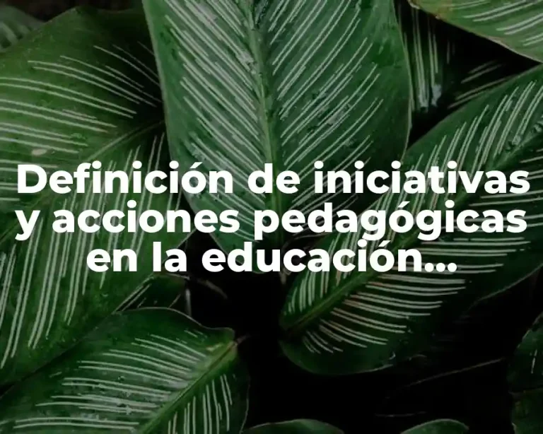 Definición de iniciativas y acciones pedagógicas en la educación primaria