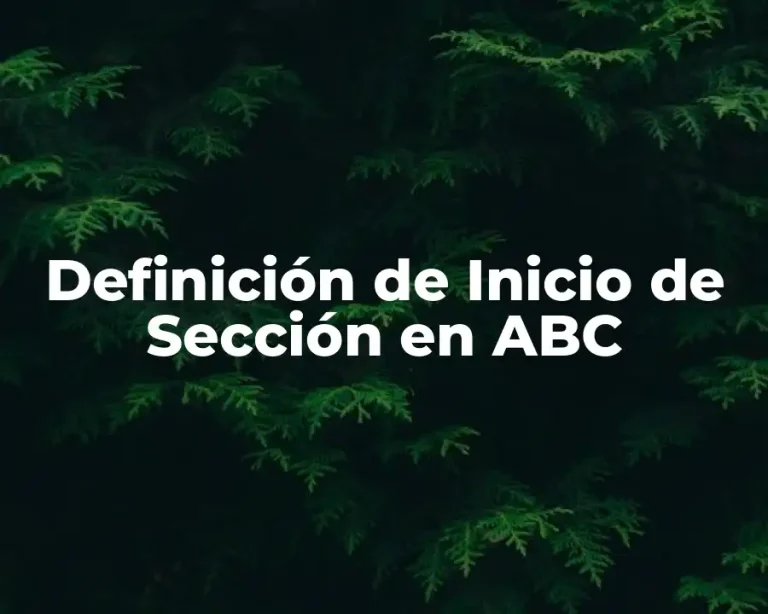 Definición de Inicio de Sección en ABC