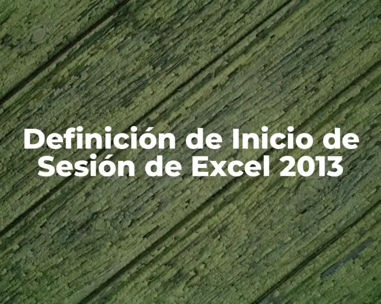 Definición de Inicio de Sesión de Excel 2013