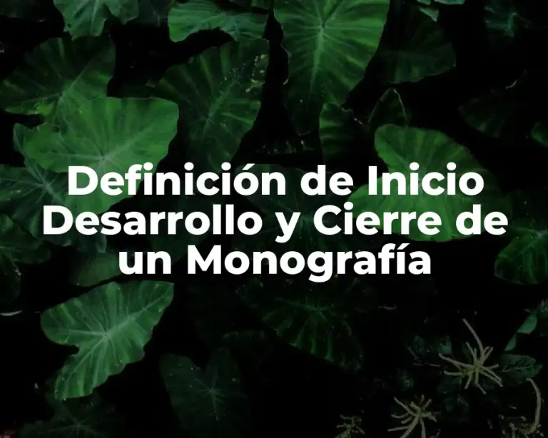 Definición de Inicio Desarrollo y Cierre de un Monografía