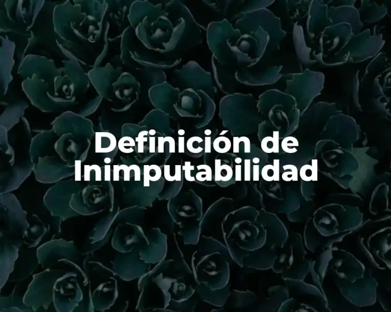 Definición de Inimputabilidad