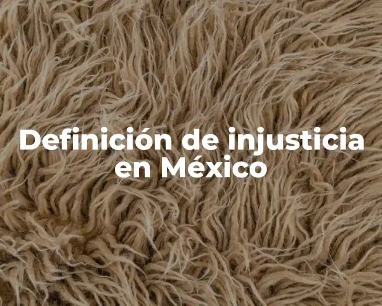 Definición de injusticia en México