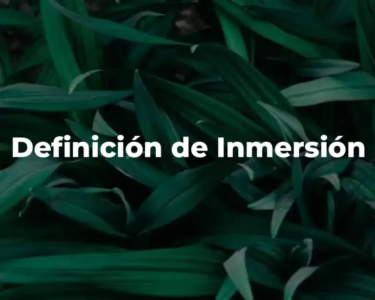 Definición de Inmersión