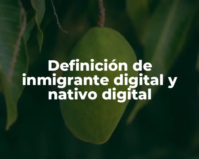Definición de inmigrante digital y nativo digital
