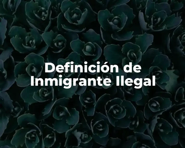 Definición de Inmigrante Ilegal
