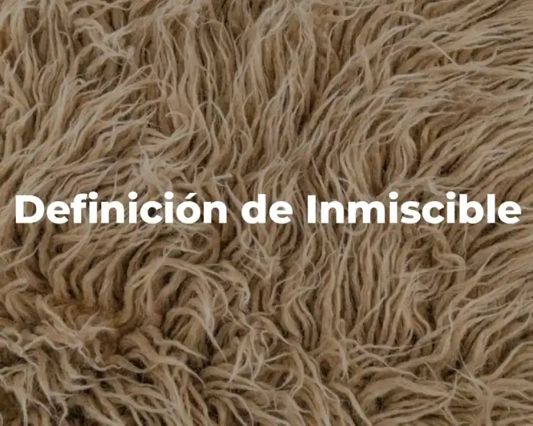 Definición de Inmiscible