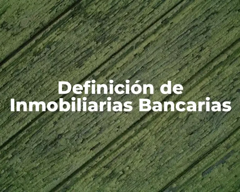 Definición de Inmobiliarias Bancarias