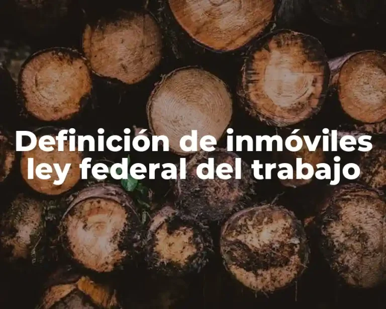 Definición de inmóviles ley federal del trabajo