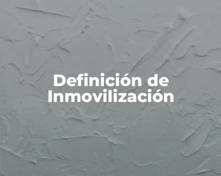 Definición de Inmovilización