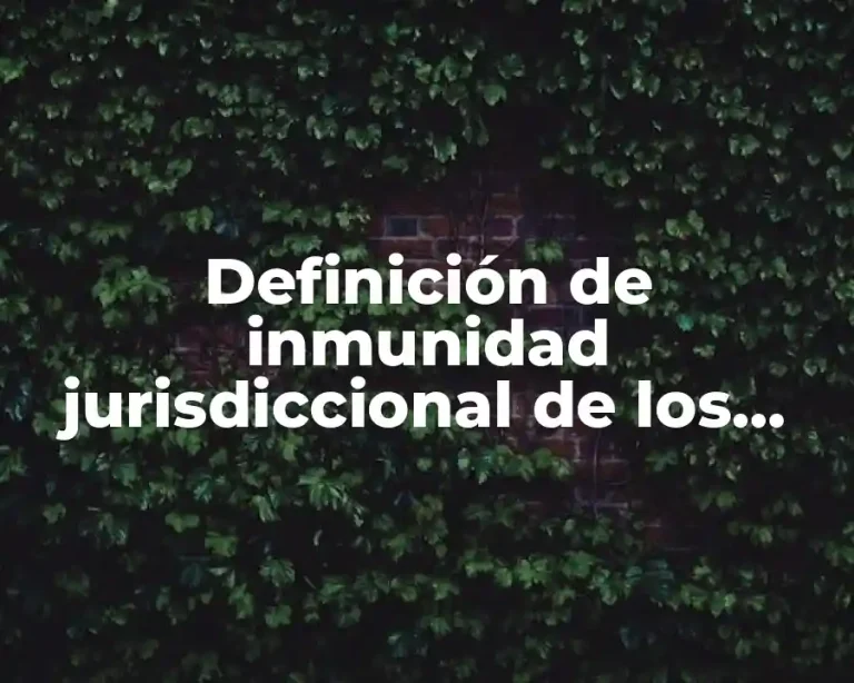 Definición de inmunidad jurisdiccional de los estados