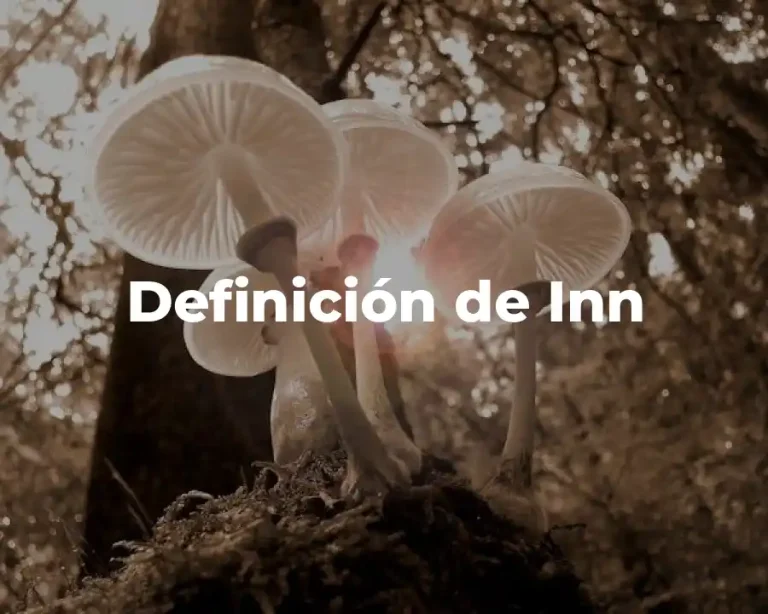 Definición de Inn