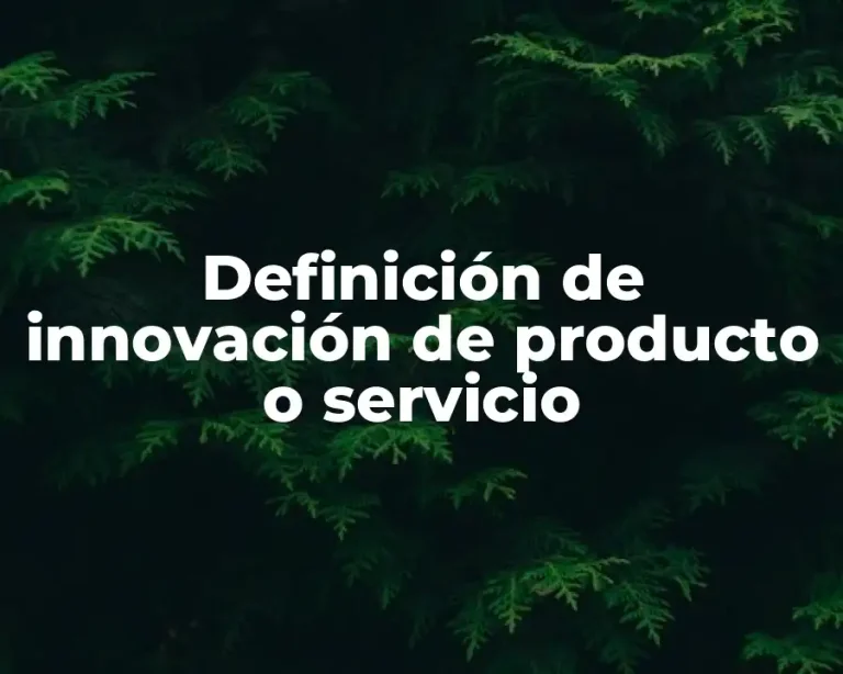 Definición de innovación de producto o servicio