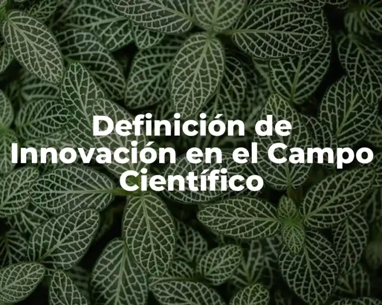 Definición de Innovación en el Campo Científico