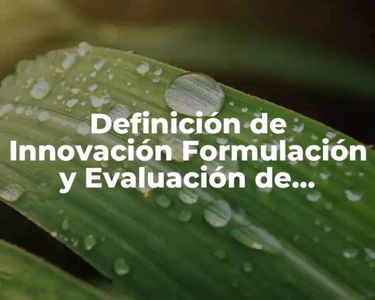 Definición de Innovación Formulación y Evaluación de Proyectos