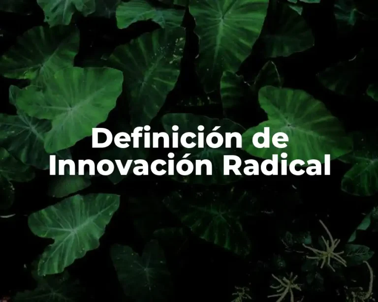 Definición de Innovación Radical