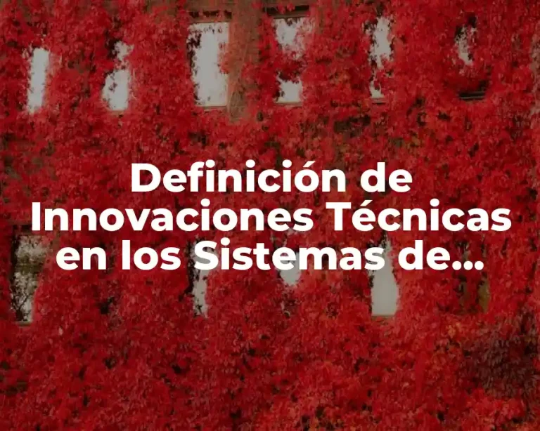Definición de Innovaciones Técnicas en los Sistemas de Producción
