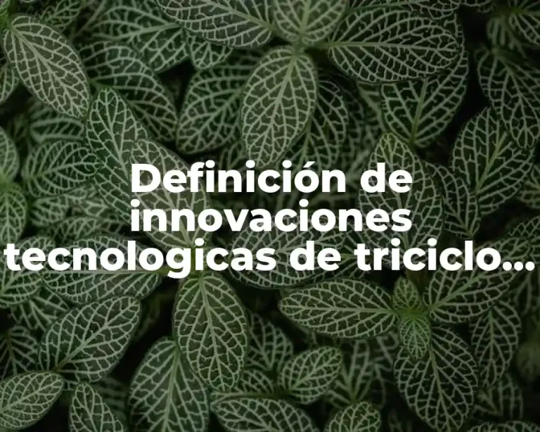 Definición de innovaciones tecnologicas de triciclo inteligente
