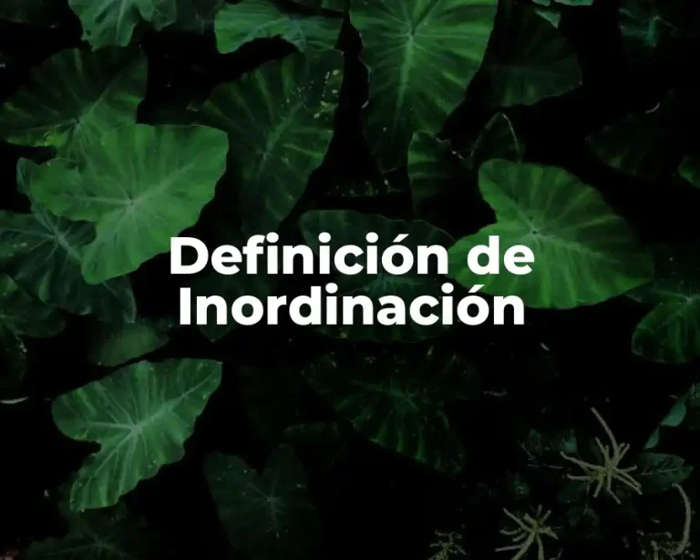 Definición de Inordinación