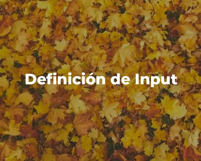 Definición de Input