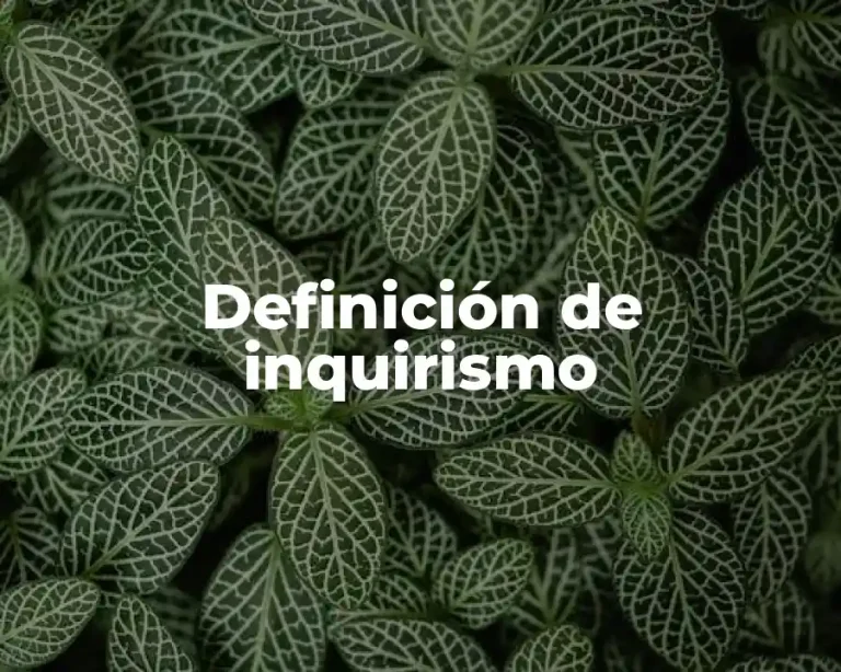 Definición de inquirismo