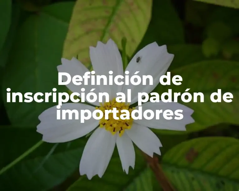 Definición de inscripción al padrón de importadores