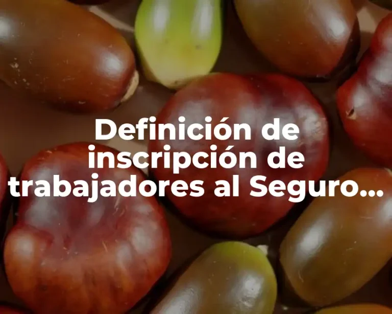 Definición de inscripción de trabajadores al Seguro Social