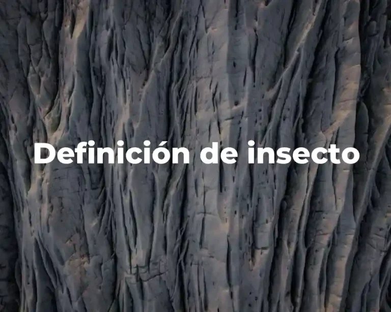 Definición de insecto