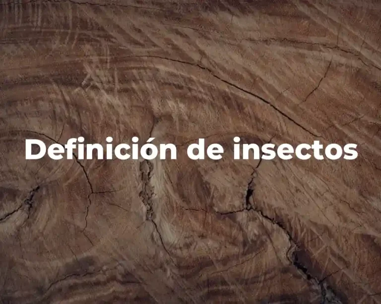 Definición de insectos