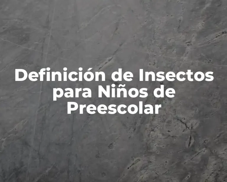 Definición de Insectos para Niños de Preescolar