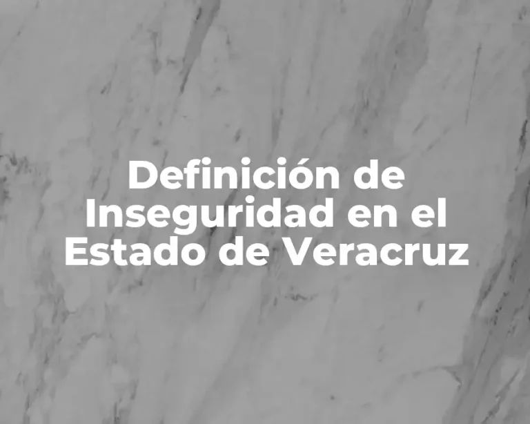 Definición de Inseguridad en el Estado de Veracruz