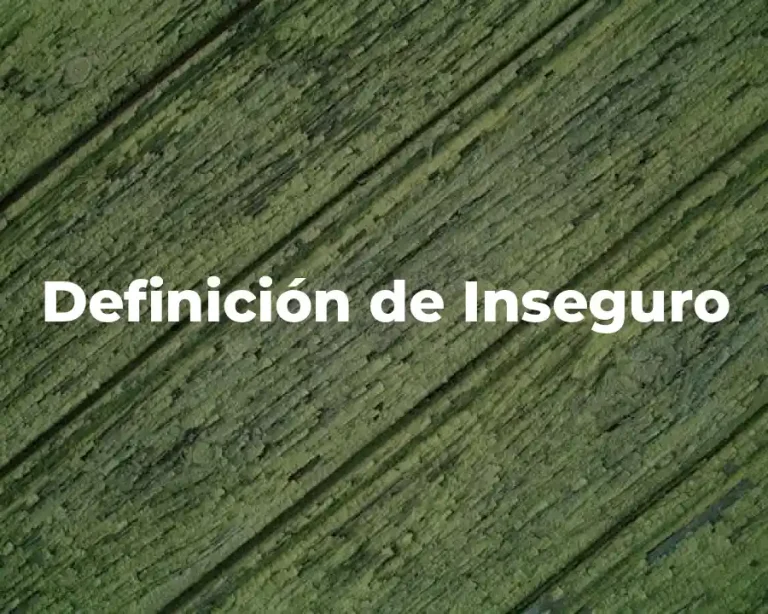 Definición de Inseguro