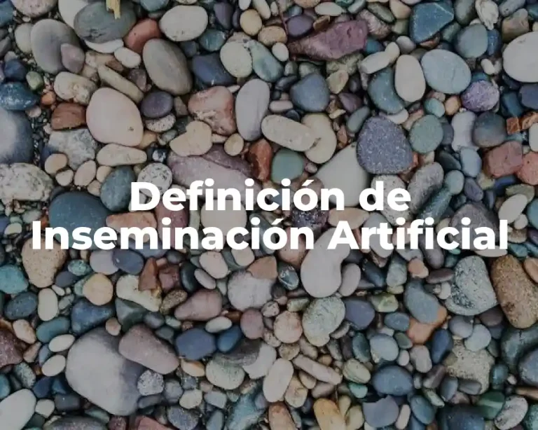 Definición de Inseminación Artificial