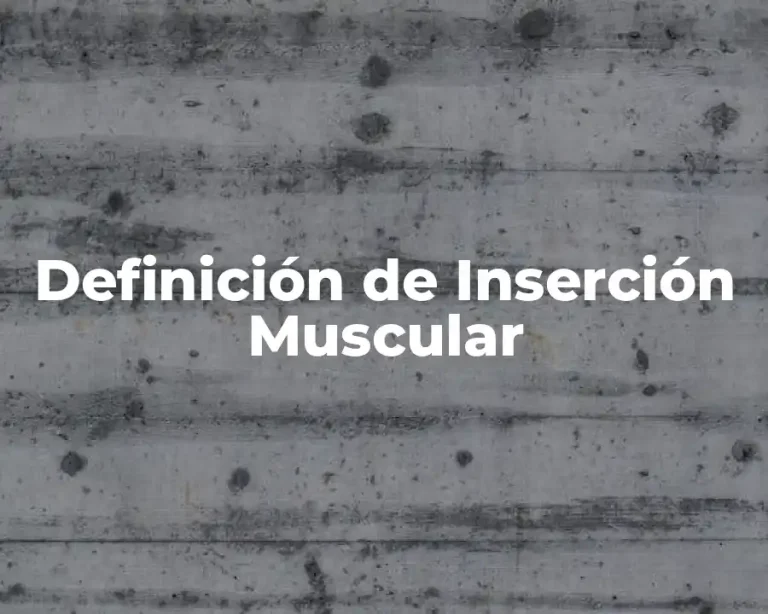Definición de Inserción Muscular
