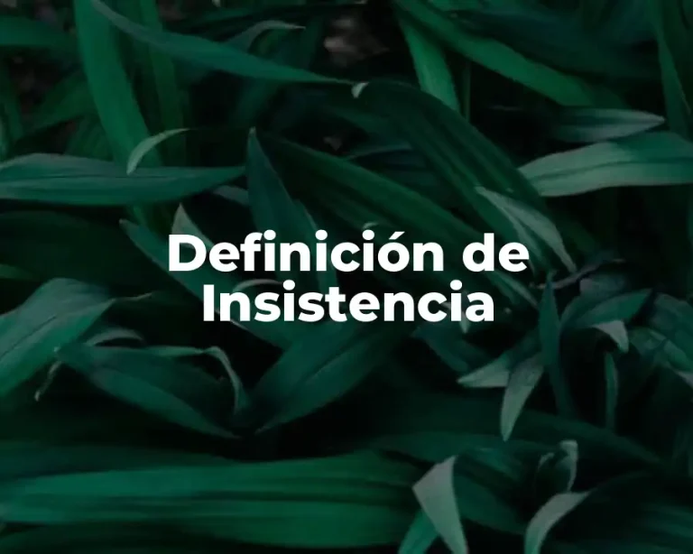 Definición de Insistencia